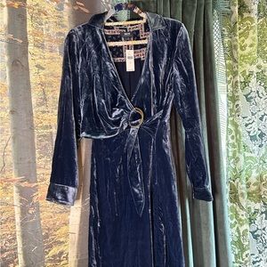 Maeve by Anthropology Blue Crushed Velvet Dress